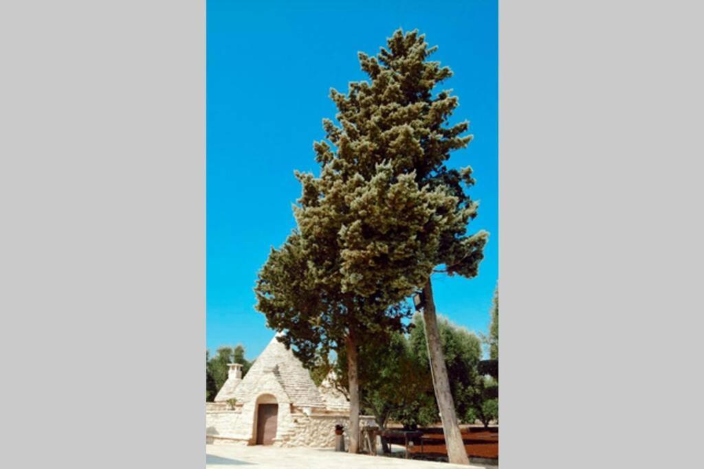 Trulli Monteforte Villa Castelli Exteriér fotografie