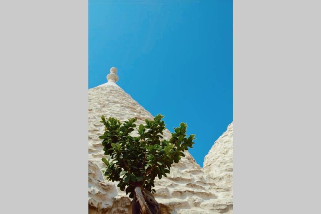 Trulli Monteforte Villa Castelli Exteriér fotografie